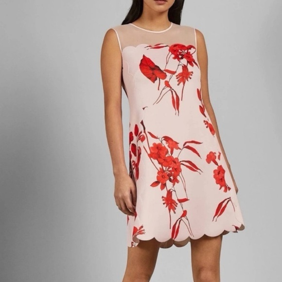 Ted Baker Jaazmin Fantasia Scallop Mini Dress Mesh Red Pink Floral Size 6 - Picture 3 of 14